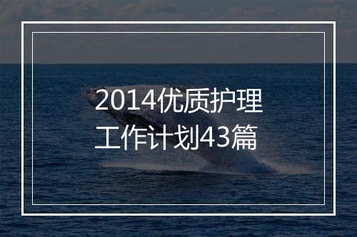 2014优质护理工作计划43篇