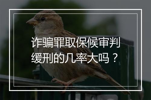 诈骗罪取保候审判缓刑的几率大吗？