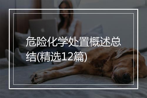 危险化学处置概述总结(精选12篇)