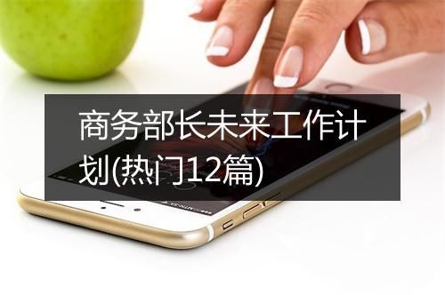 商务部长未来工作计划(热门12篇)