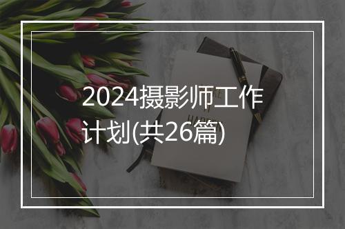 2024摄影师工作计划(共26篇)