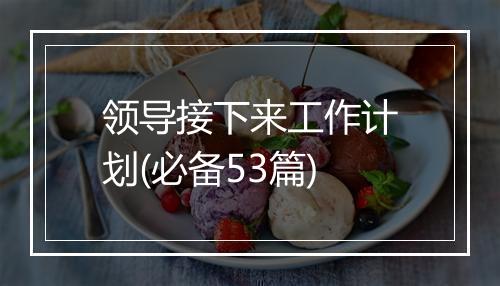 领导接下来工作计划(必备53篇)
