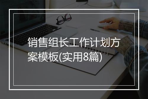 销售组长工作计划方案模板(实用8篇)