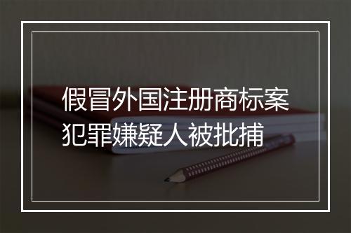 假冒外国注册商标案犯罪嫌疑人被批捕