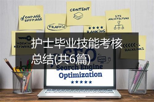 护士毕业技能考核总结(共6篇)