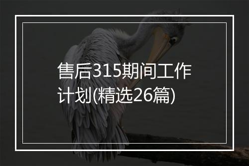 售后315期间工作计划(精选26篇)