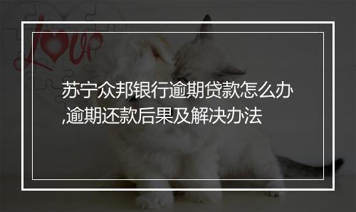 苏宁众邦银行逾期贷款怎么办,逾期还款后果及解决办法