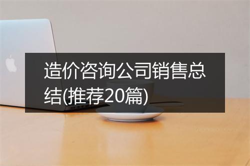 造价咨询公司销售总结(推荐20篇)