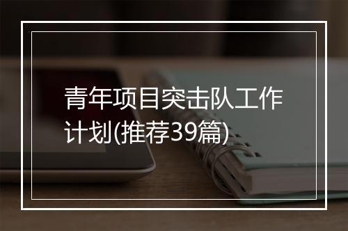 青年项目突击队工作计划(推荐39篇)