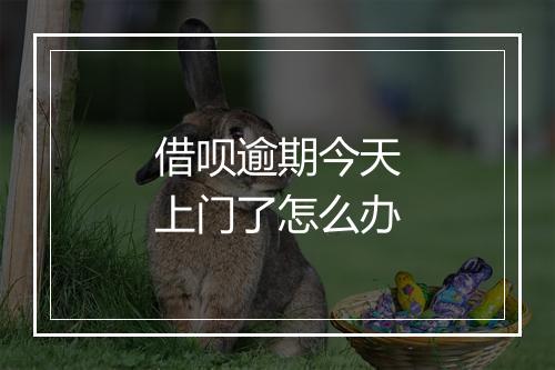 借呗逾期今天上门了怎么办
