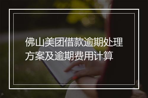 佛山美团借款逾期处理方案及逾期费用计算