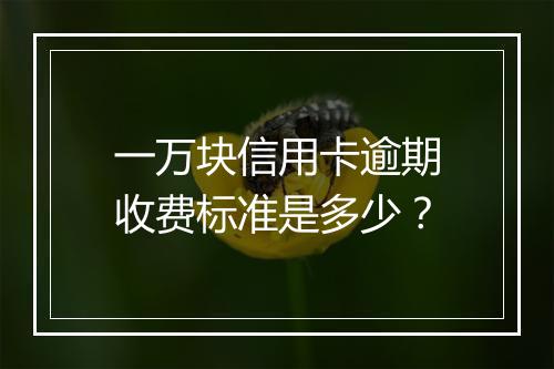 一万块信用卡逾期收费标准是多少？
