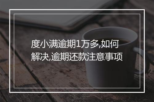 度小满逾期1万多,如何解决,逾期还款注意事项