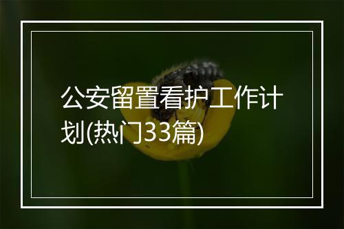 公安留置看护工作计划(热门33篇)