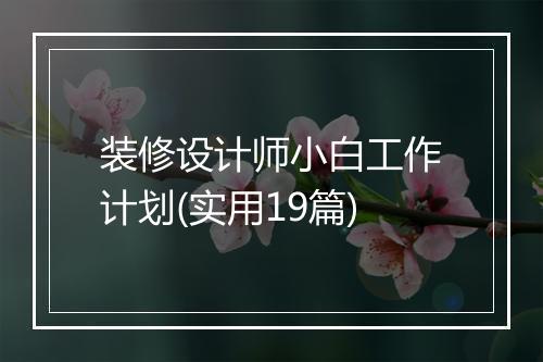 装修设计师小白工作计划(实用19篇)