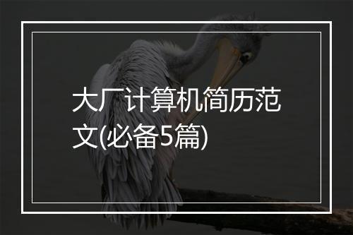 大厂计算机简历范文(必备5篇)