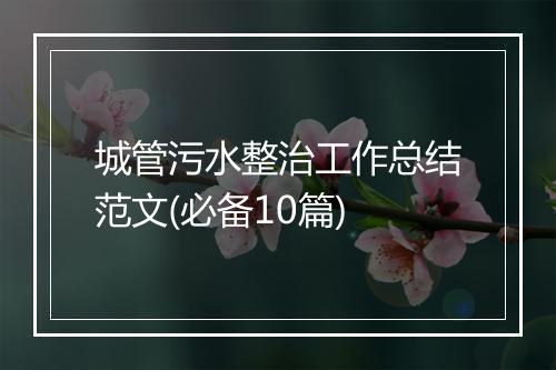 城管污水整治工作总结范文(必备10篇)