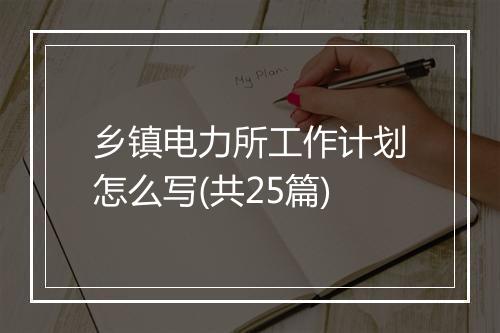 乡镇电力所工作计划怎么写(共25篇)