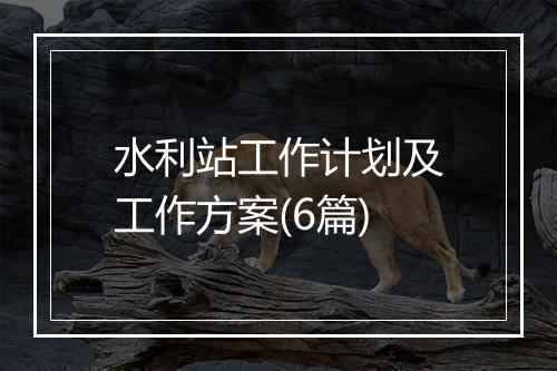 水利站工作计划及工作方案(6篇)