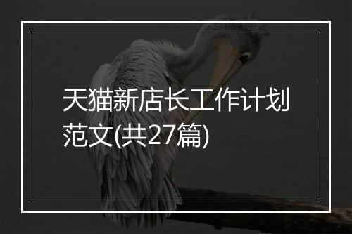 天猫新店长工作计划范文(共27篇)