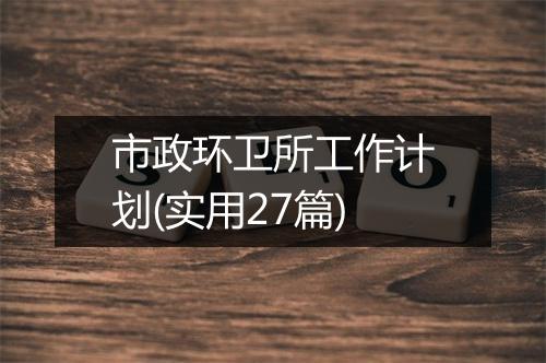 市政环卫所工作计划(实用27篇)