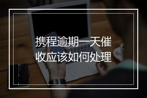 携程逾期一天催收应该如何处理