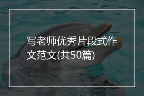 写老师优秀片段式作文范文(共50篇)