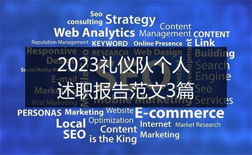 2023礼仪队个人述职报告范文3篇