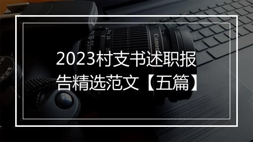 2023村支书述职报告精选范文【五篇】