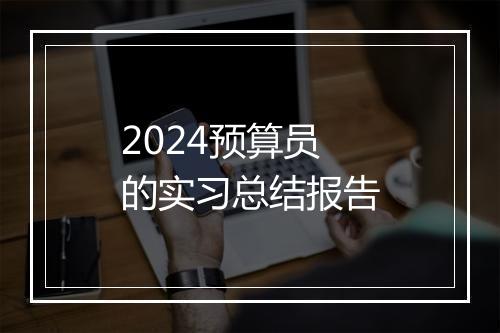 2024预算员的实习总结报告