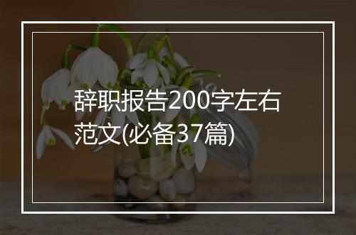 辞职报告200字左右范文(必备37篇)