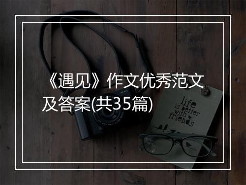 《遇见》作文优秀范文及答案(共35篇)