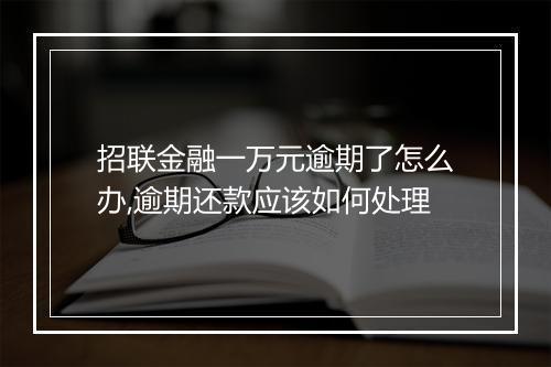 招联金融一万元逾期了怎么办,逾期还款应该如何处理