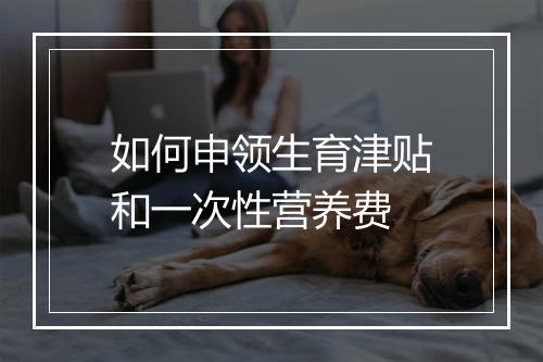 如何申领生育津贴和一次性营养费