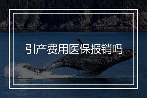 引产费用医保报销吗
