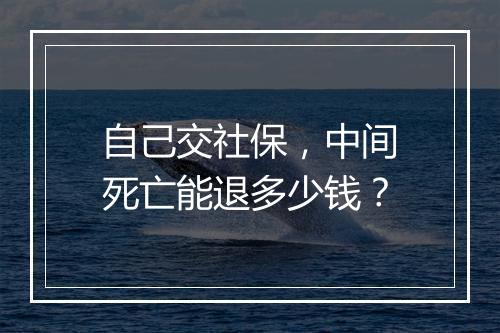 自己交社保，中间死亡能退多少钱？