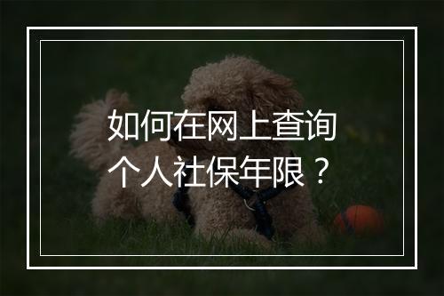 如何在网上查询个人社保年限？