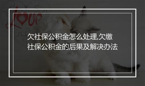 欠社保公积金怎么处理,欠缴社保公积金的后果及解决办法