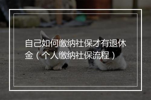 自己如何缴纳社保才有退休金（个人缴纳社保流程）