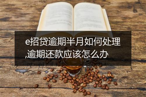 e招贷逾期半月如何处理,逾期还款应该怎么办
