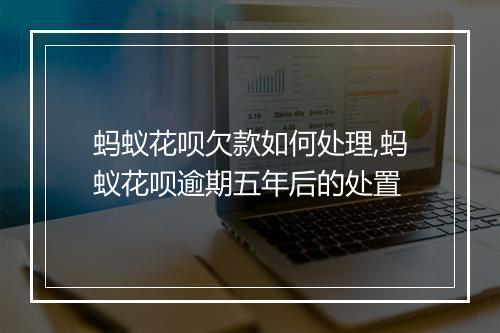 蚂蚁花呗欠款如何处理,蚂蚁花呗逾期五年后的处置