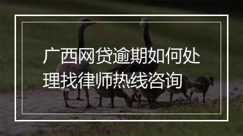 广西网贷逾期如何处理找律师热线咨询