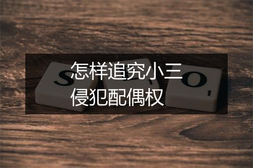 怎样追究小三侵犯配偶权