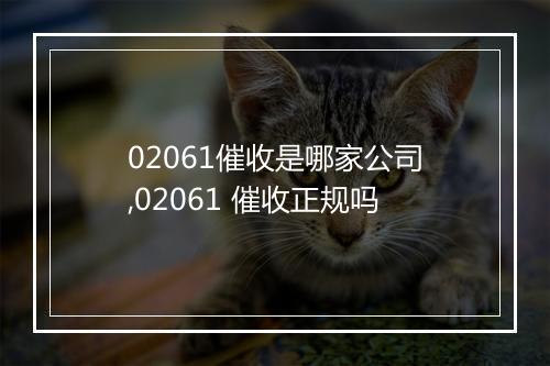 02061催收是哪家公司,02061 催收正规吗