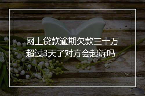 网上贷款逾期欠款三十万超过3天了对方会起诉吗