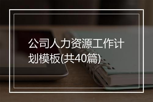 公司人力资源工作计划模板(共40篇)