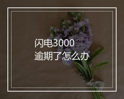 闪电3000逾期了怎么办