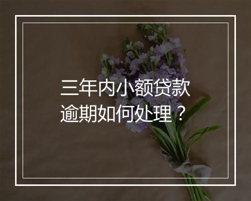 三年内小额贷款逾期如何处理？