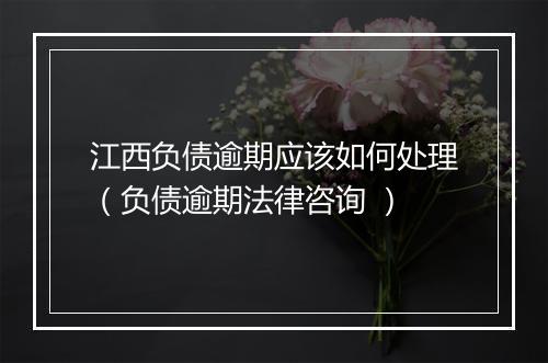 江西负债逾期应该如何处理（负债逾期法律咨询 ）