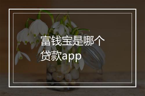 富钱宝是哪个贷款app